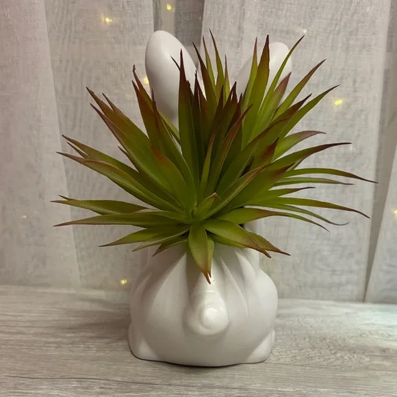 White French Bulldog Planter and Dog Photo Frame - Picture 3 of 12